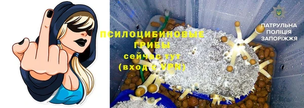 твердый Балахна