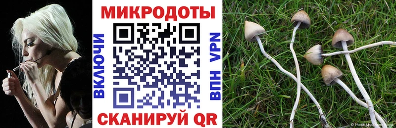 Галлюциногенные грибы мухоморы Белогорск